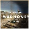 Zwischen Punk und Psycho-Blues pendeln Mudhoney auf "Vanishing Point".
