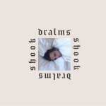 Cover des Albums Shook von Dralms bei Full Time Hoby