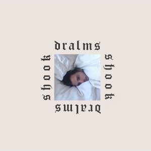 Cover des Albums Shook von Dralms bei Full Time Hoby