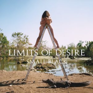 Limits Of Desire Small Black Kritik Rezension