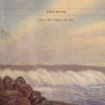 Tiny Ruins Some Were Meant For Sea Review Kritik