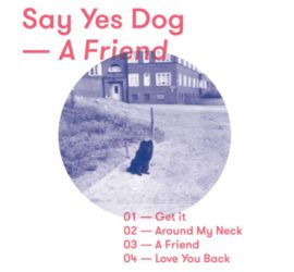 Say Yes Dog A Friend Review Kritik