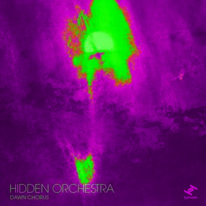 Dawn Chorus Hidden Orchestra Kritik Rezension