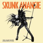Skunk Anansie 25LIVE@25 Review Kritik