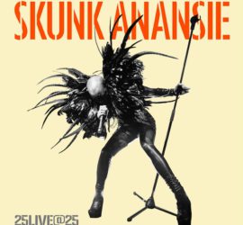 Skunk Anansie 25LIVE@25 Review Kritik