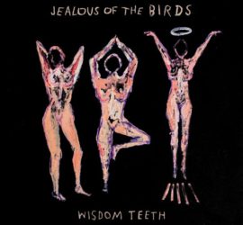 Wisdom Teeth Jealous Of The Birds Review Kritik