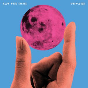 Voyage Say Yes Dog Review Kritik