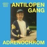 Antilopen Gang Adrenochrom Review Kritik