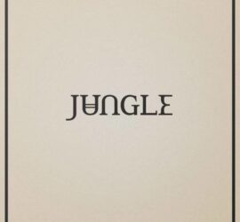 Jungle Loving In Stereo Review Kritk