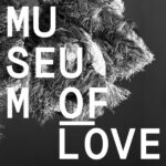 Museum Of Love Review Kritik