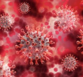Corona Virus Pandemie