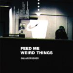 Squarepusher Feed Me Weird Things Review Kritik