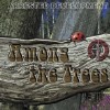 Among The Trees
