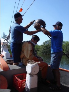 Tarpon Springs Mit zentnerschwerer Ausrüstung wurden früher die Schwämme geerntet.