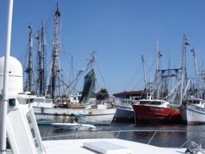 Tarpon Springs Der Hafen von Tarpon Springs, der Schwammhauptstadt der USA.