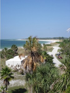 Clearwater So sieht er aus: der offiziell schönste Strand der USA.