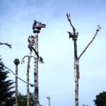Entlang dieses Wanderwegs sind Kunstwerke aufgestellt.
