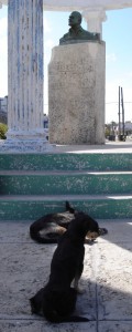 Hund, Hund, Hemingway (von vorne nach hinten).