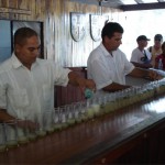 Keine Sorge, diese Mojitos sind nicht alle für mich.