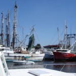 Der Hafen von Tarpon Springs, der Schwammhauptstadt der USA.
