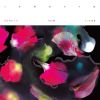 Shoegaze mit Extra-Nebel: So klingt "Tender New Signs".