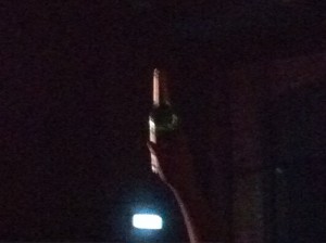 Der Mensch, der an diesem Arm hängt, weiß, wie man ein Konzert von Young Rebel Set genießt.