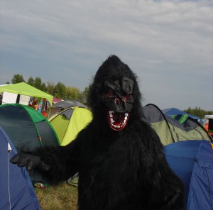 Highfield 2015 Gorilla