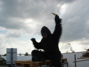 Gorilla Highfield Festival 2015 Banane