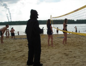 Highfield Festival 2015 Gorilla Beachvolleyball