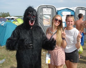 Gorilla Highfield 2015