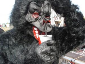 Highfield 2015 Gorilla Strohhalm