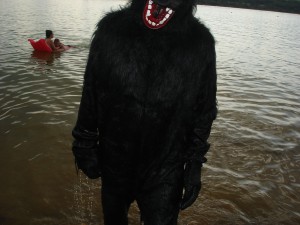 Gorilla See Highfield 2015