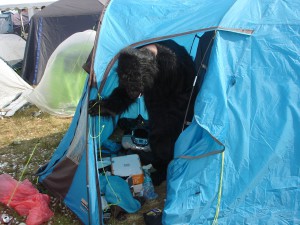Gorilla Highfield 2015 Zelt