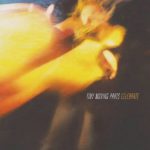 Tiny Moving Parts Celebrate Rezension Kritik