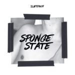 Sløtface Sponge State Kritik Rezension