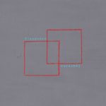 Pinegrove Cardinal Kritik Rezension