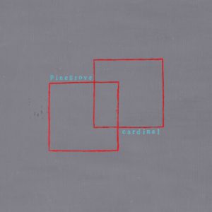 Pinegrove Cardinal Kritik Rezension