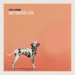 Ezra Furman Big Fugitive Life Kritik Rezension