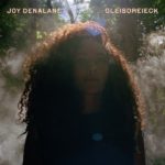 Gleisdreieck Joy Denalane Kritik Rezension