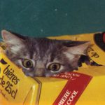 Fairweather Band Meow Kritik Rezension