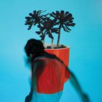 Local Natives Sunlit Youth Kritik Rezension