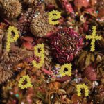 PWR BTTM Pageant Kritik Rezension