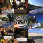Live Life Like A Tourist Fights And Fires Kritik Rezension 