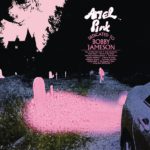 Dedicated To Bobby Jameson Ariel Pink Kritik Rezension