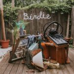 Slaughter Beach, Dog Birdie Kritik Rezension