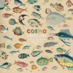 Cosmo Sheldrake The Much Much How How And I Albumkritik Rezension