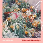 Wild Cat Strike Rhubarb Nostalgia Review Kritik