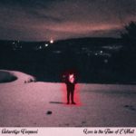Love In The Time Of E-Mail Antarctigo Vespucci Review Kritik