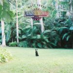 Rainbow Valley Matt Corby Review Kritik