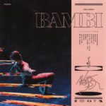 Hippo Campus Bambi Review Kritik